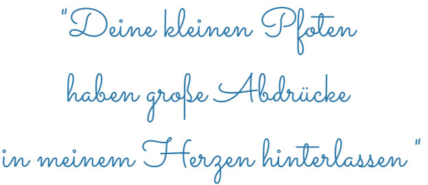 sterbebegleitung spruch 3